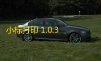 小标打印 1.0.3 官方版